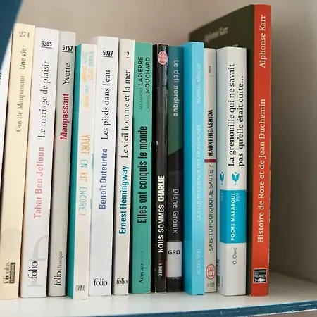 Appart' Confort Les Maoves Parking Prive 公寓 埃特勒塔